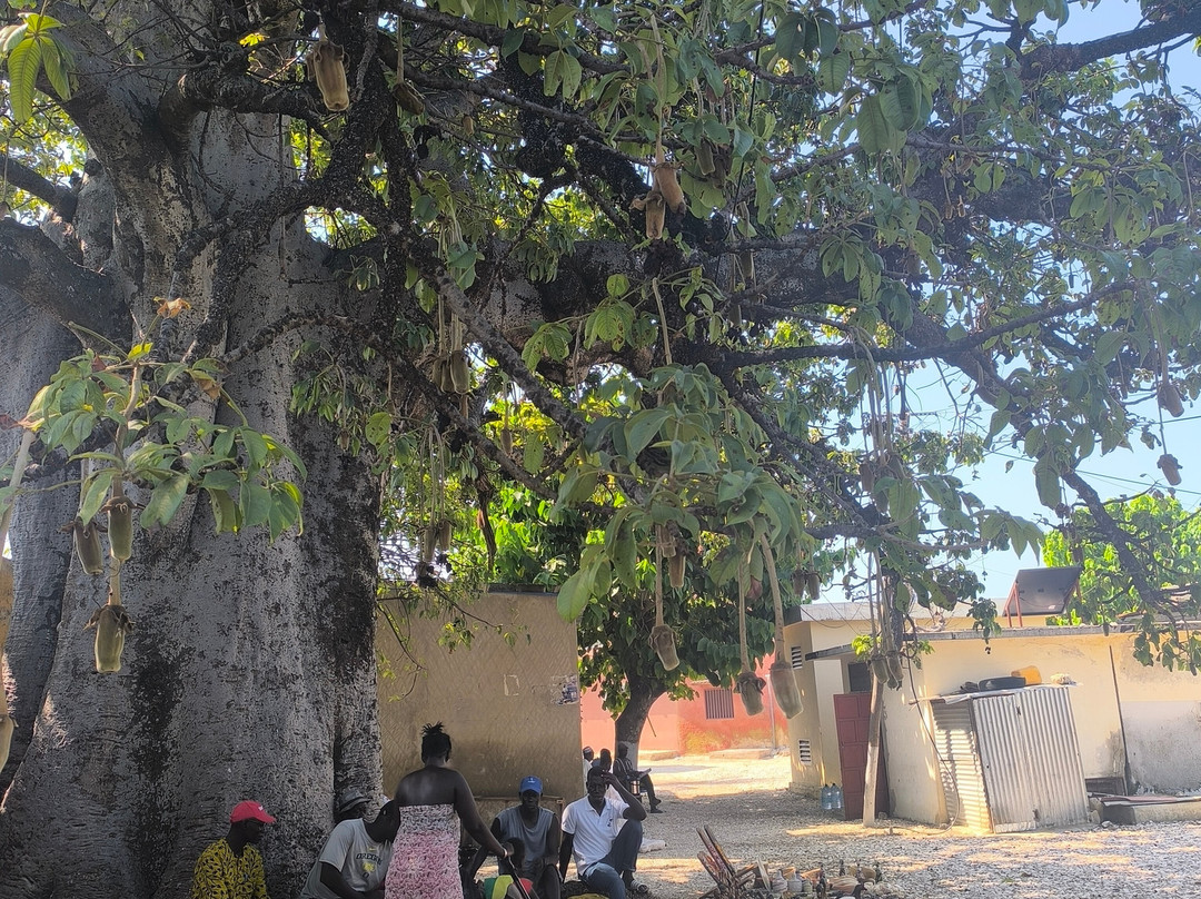Guide to Sénégal-Ponto必去景点