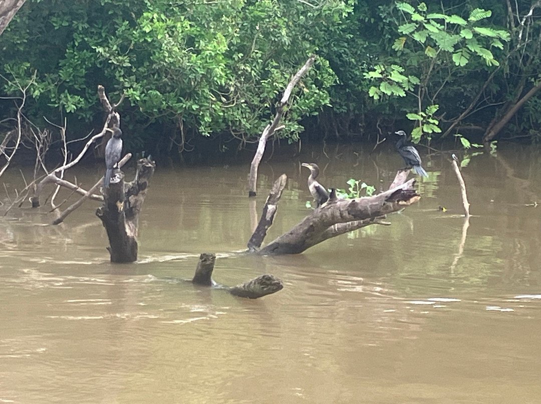 Caño Negro Wildlife Refuge-Cano Negro必去景点