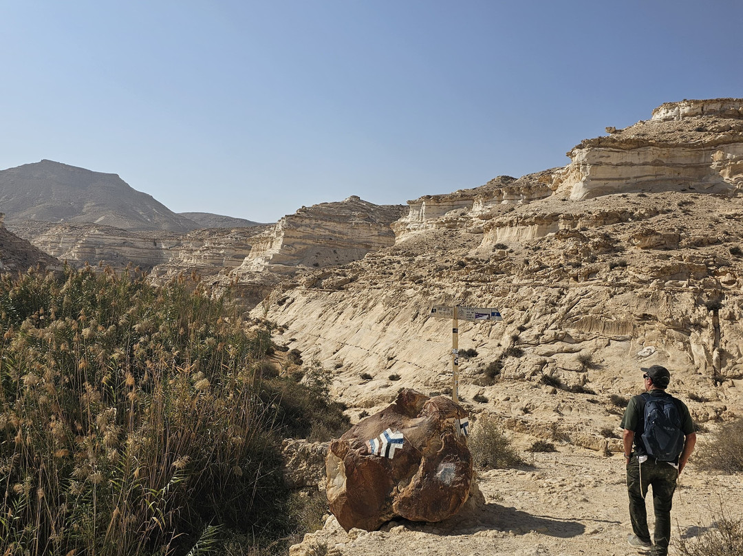 Israel Desert tours by Adam Sela-Midreshet Ben-Gurion必去景点