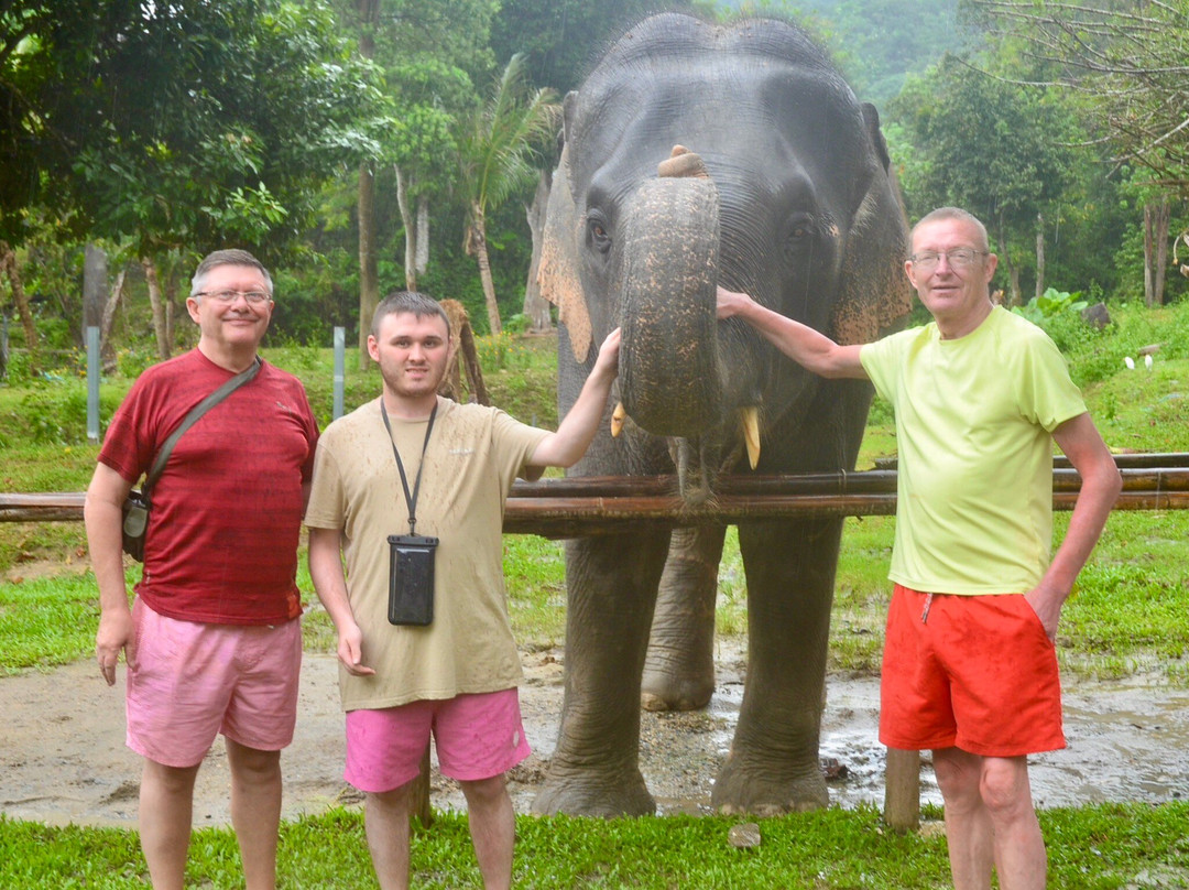 Tonsai  Elephant Care Camp Phuket-芭东海滩必去景点