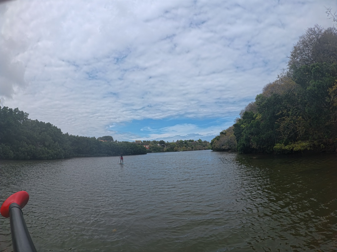 Dodo Gliders-毛里求斯必去景点