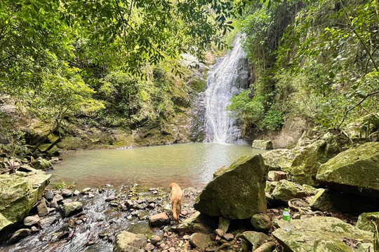 Fazenda Wolff-Rolante必去景点