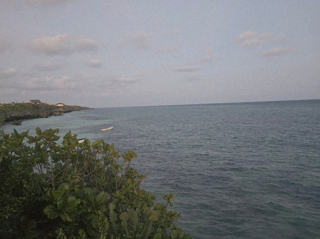 GoSmart Zanzibar Tours & Safari-Kiembi Samaki必去景点