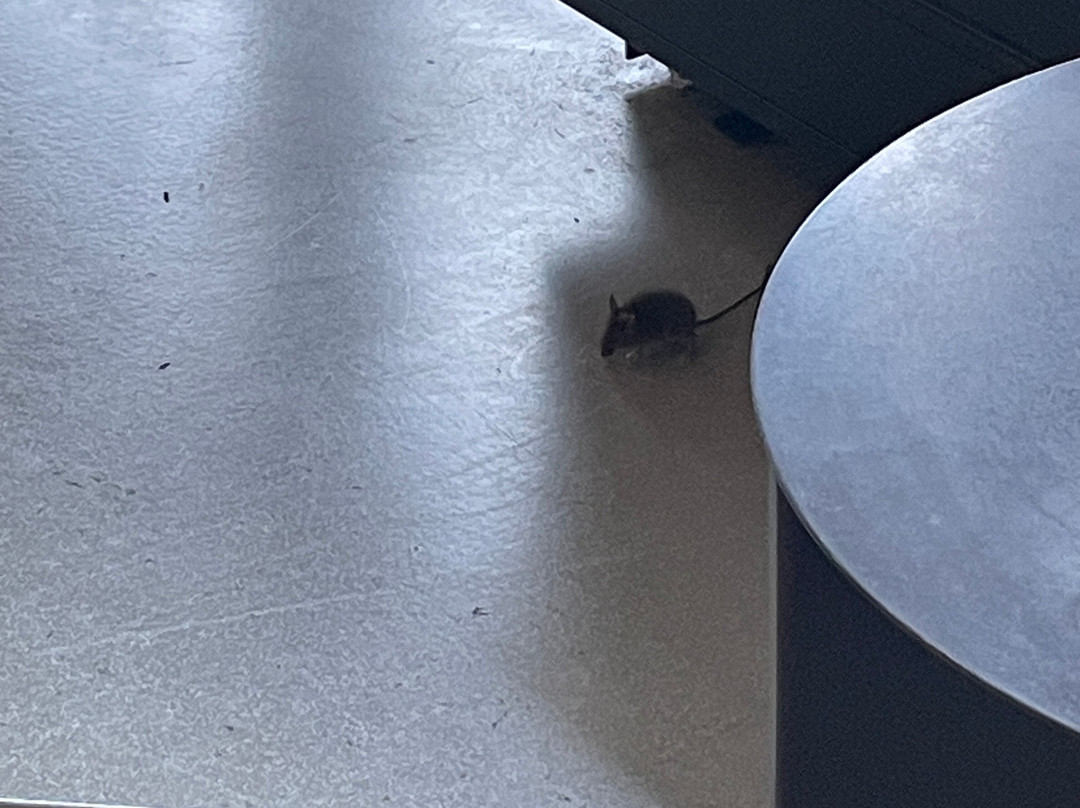 Aspire Lounge 26 (Schengen)-斯希普霍尔必去景点