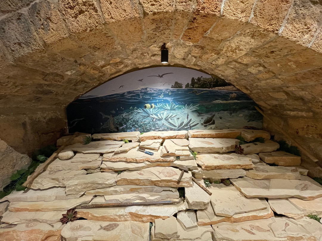 Memory of Time-朱拜勒必去景点