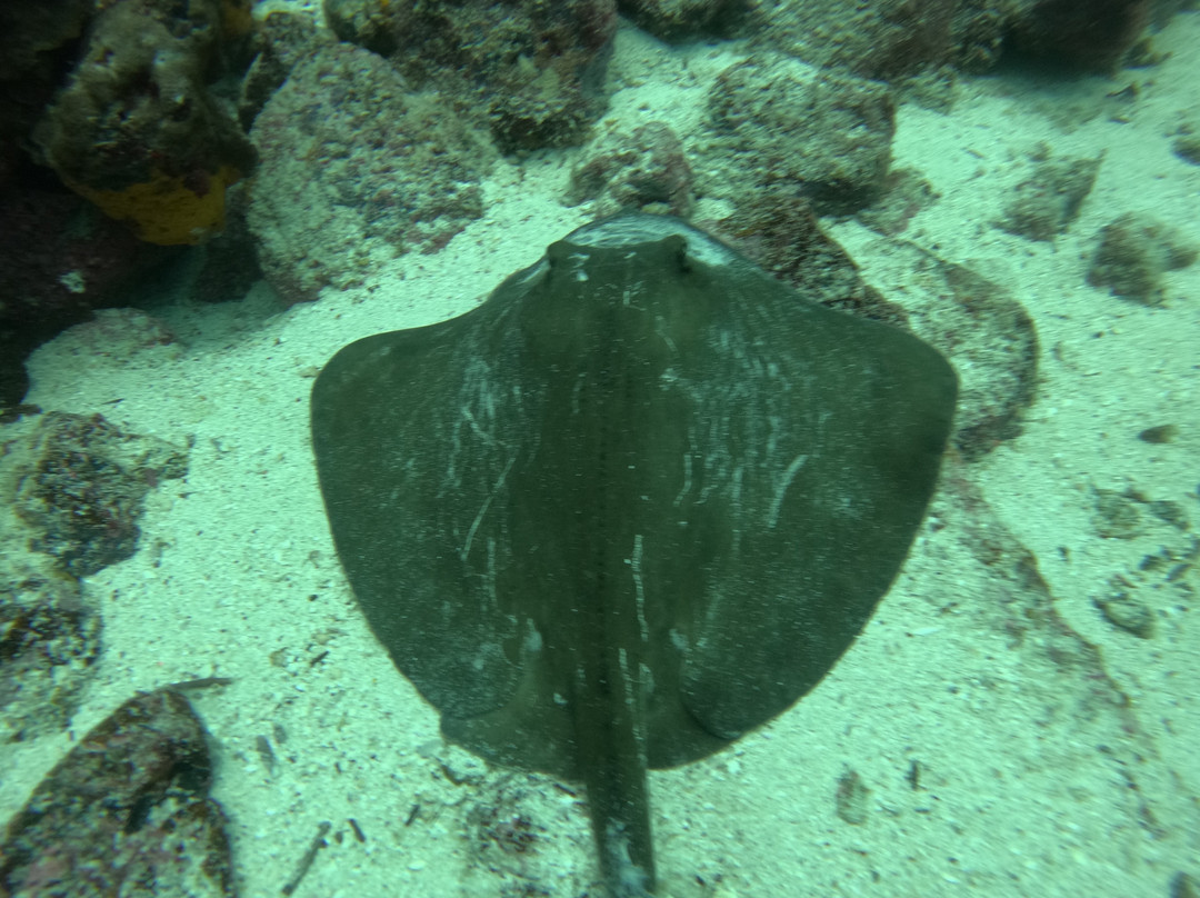 Galapagos by Local Guides-圣克鲁斯必去景点