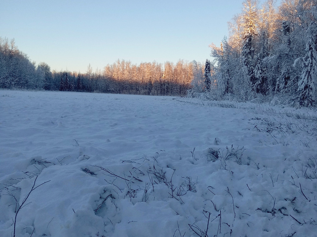Snowhook Adventure Guides of Alaska-Willow必去景点