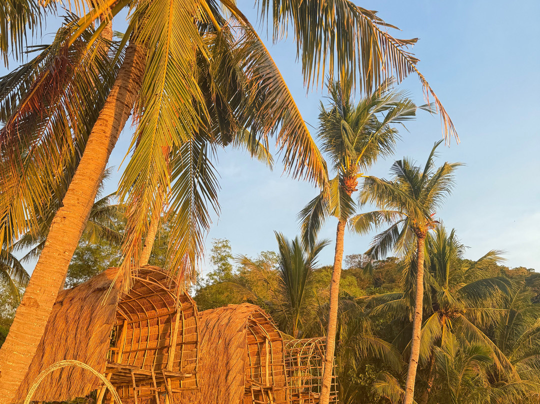 Big Dream Boatman-科隆必去景点