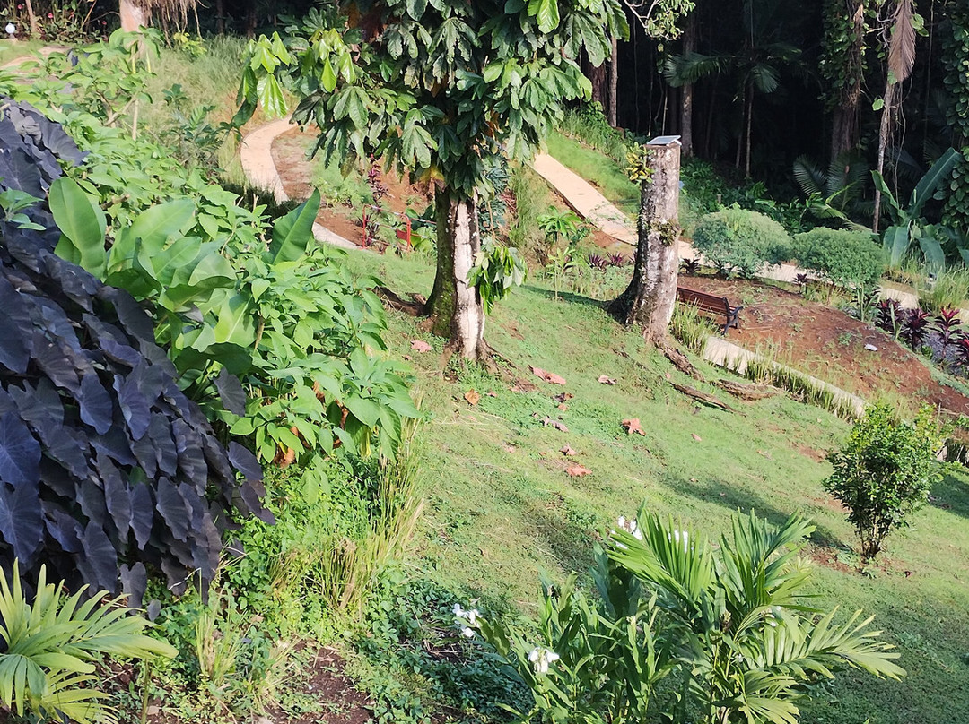 Les Bieres de la Lezarde-Petit-Bourg必去景点