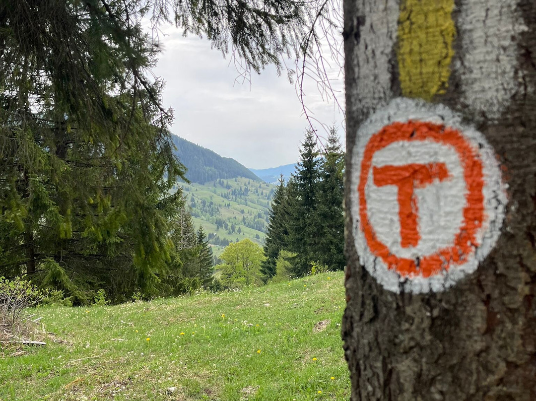 Via Transilvanica-Piatra Fantanele必去景点