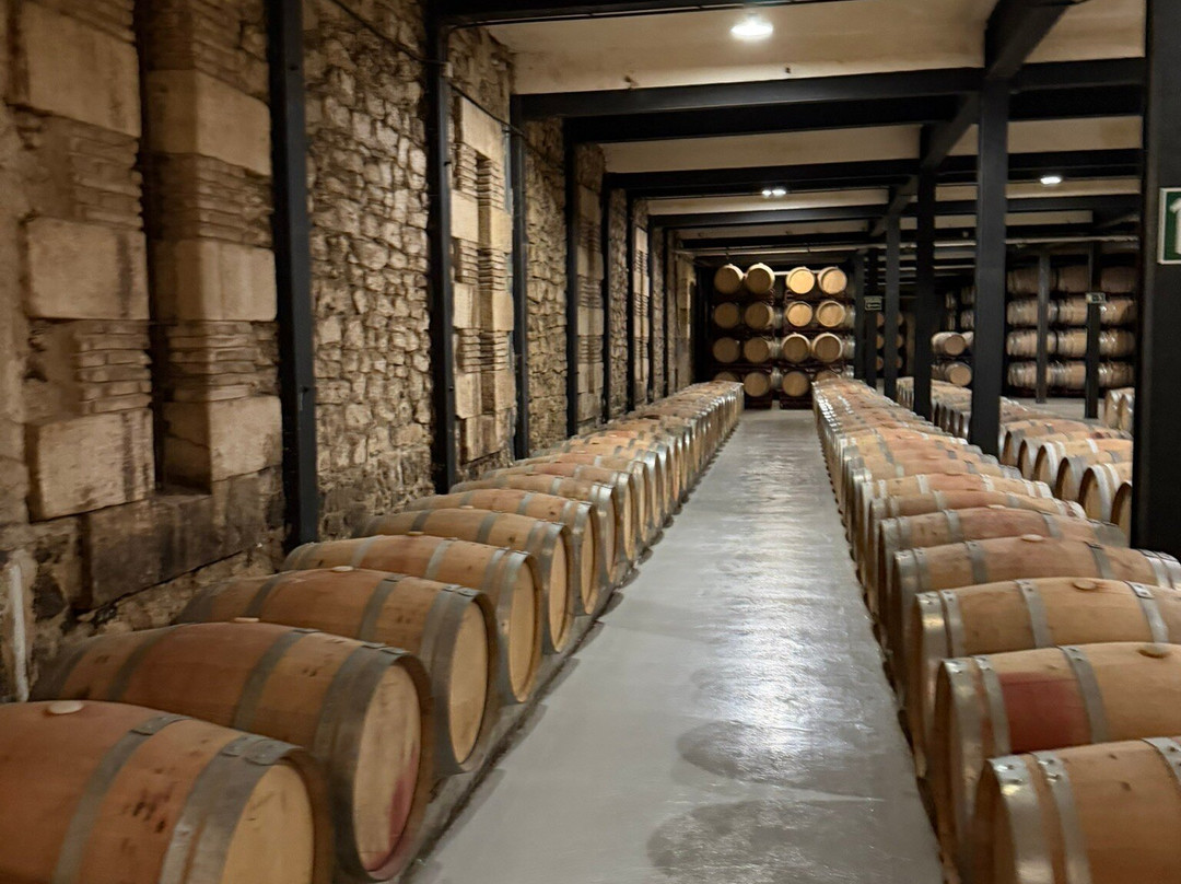 Bodegas Franco Espanolas-洛格罗尼奥必去景点