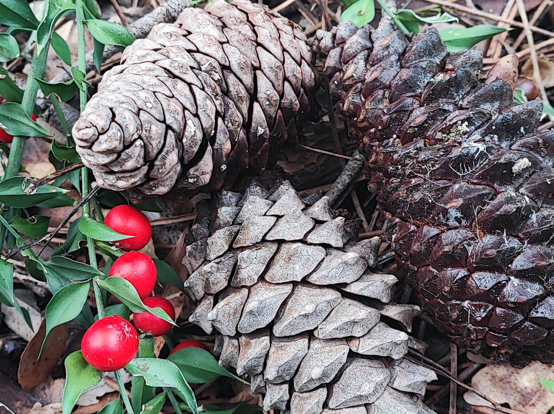 ArsDurium Douro Hotel主图