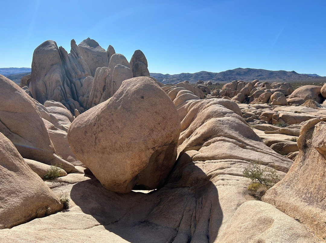 Arch Rock Nature Trail-约书亚树国家公园必去景点