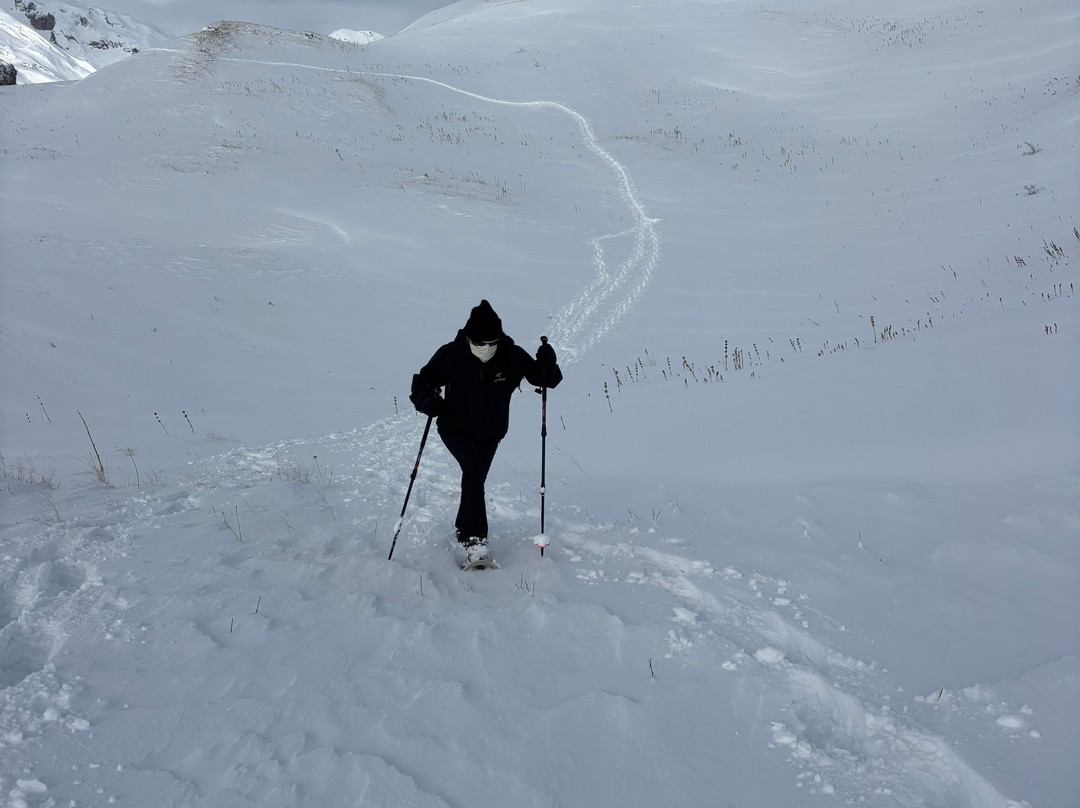 R1 Aventuras - Deportes de Aventura, Barranquismo y Esquí en Pirineos-Villanua必去景点