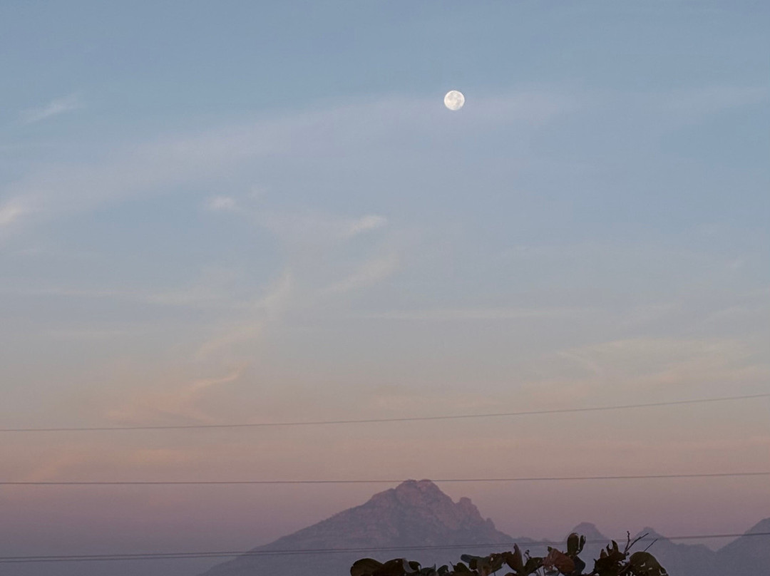 The Jawai Safari-Jawai Bandh必去景点
