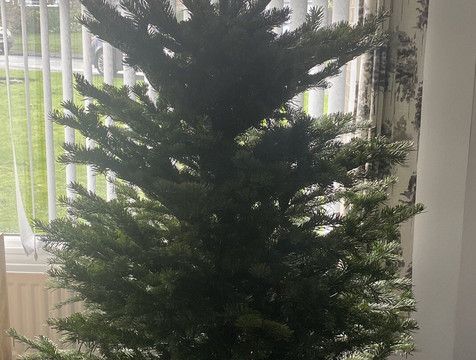 Guisborough Forest & Walkway Visitor Centre-Guisborough必去景点