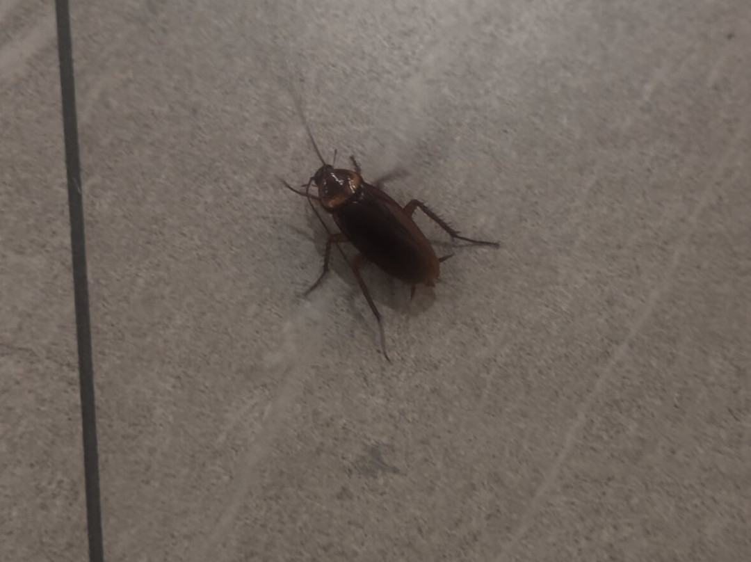 La Quinta Inn & Suites by Wyndham Decatur主图