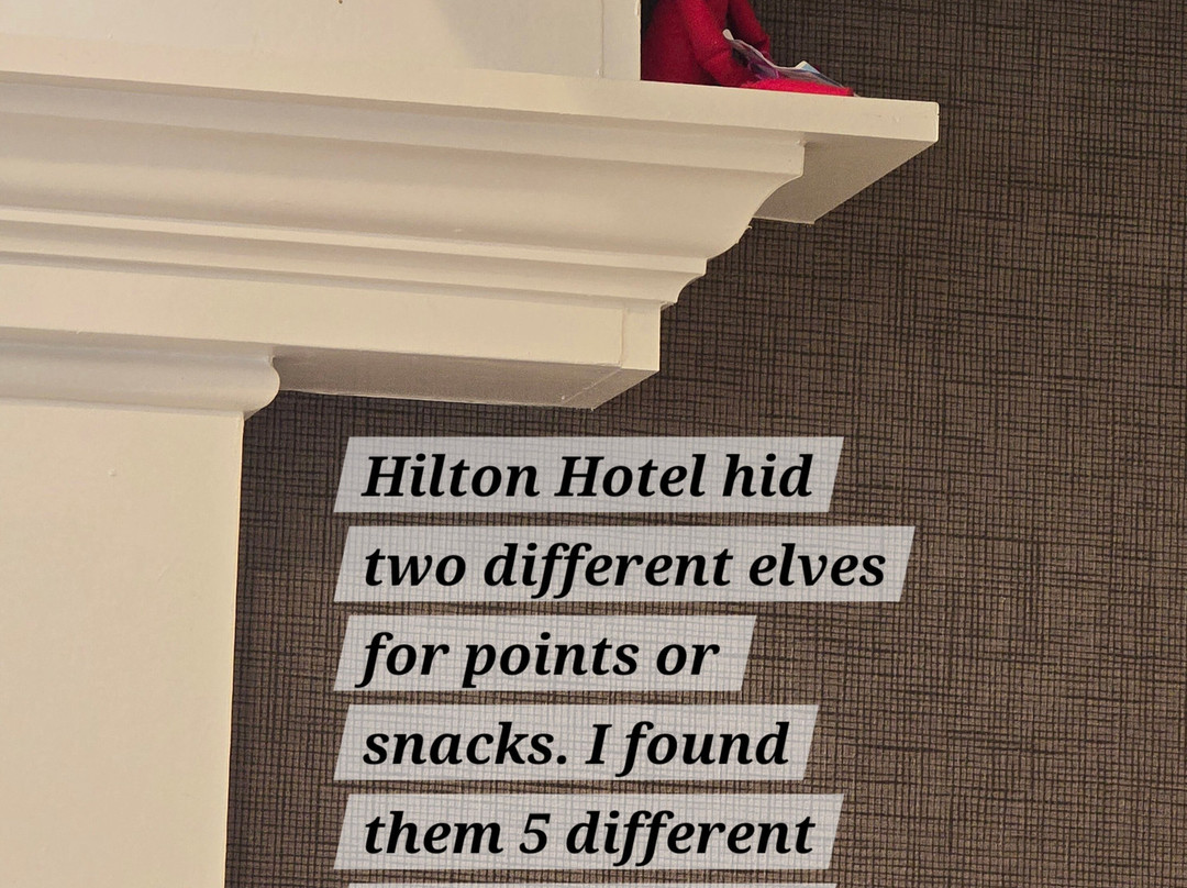 Hilton Garden Inn Gulfport Airport主图