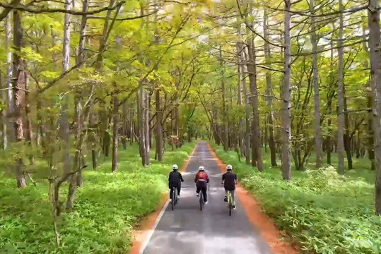 UNXPLORED-日光市必去景点