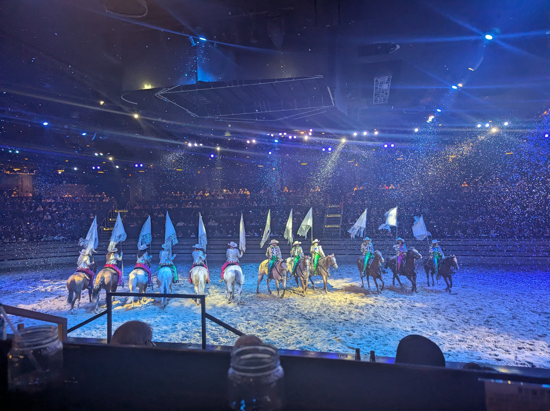 马术歌舞表演餐宴-皮金福奇必去景点