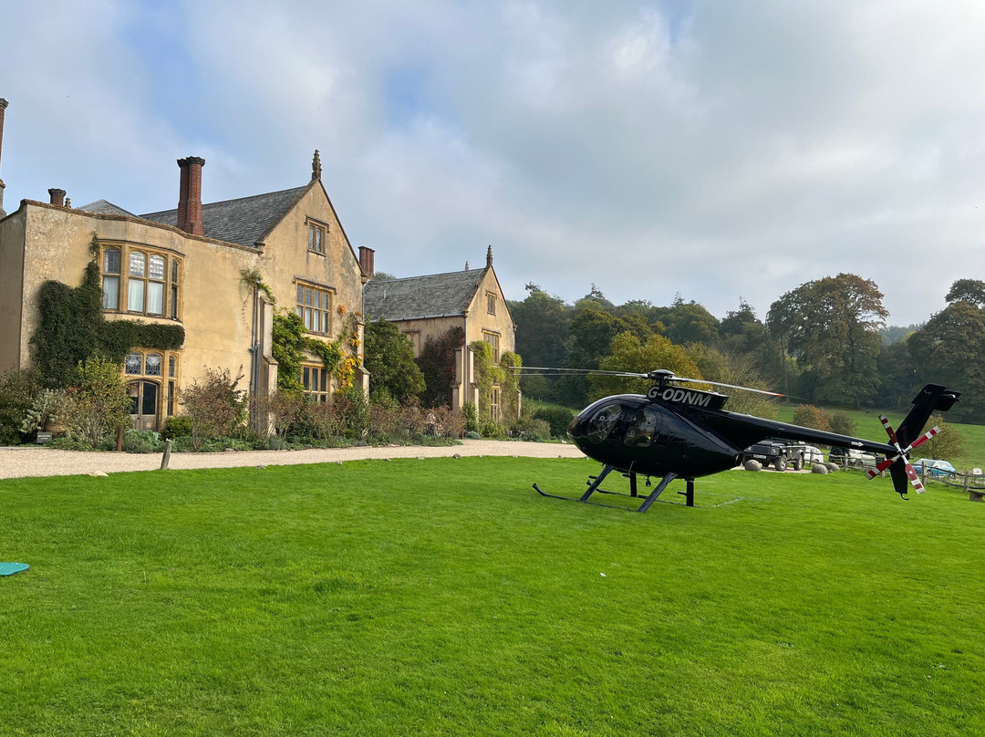 THE PIG - at Combe主图