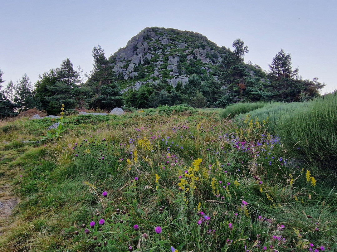Mont Gerbier de Jonc-Saint-Martial必去景点