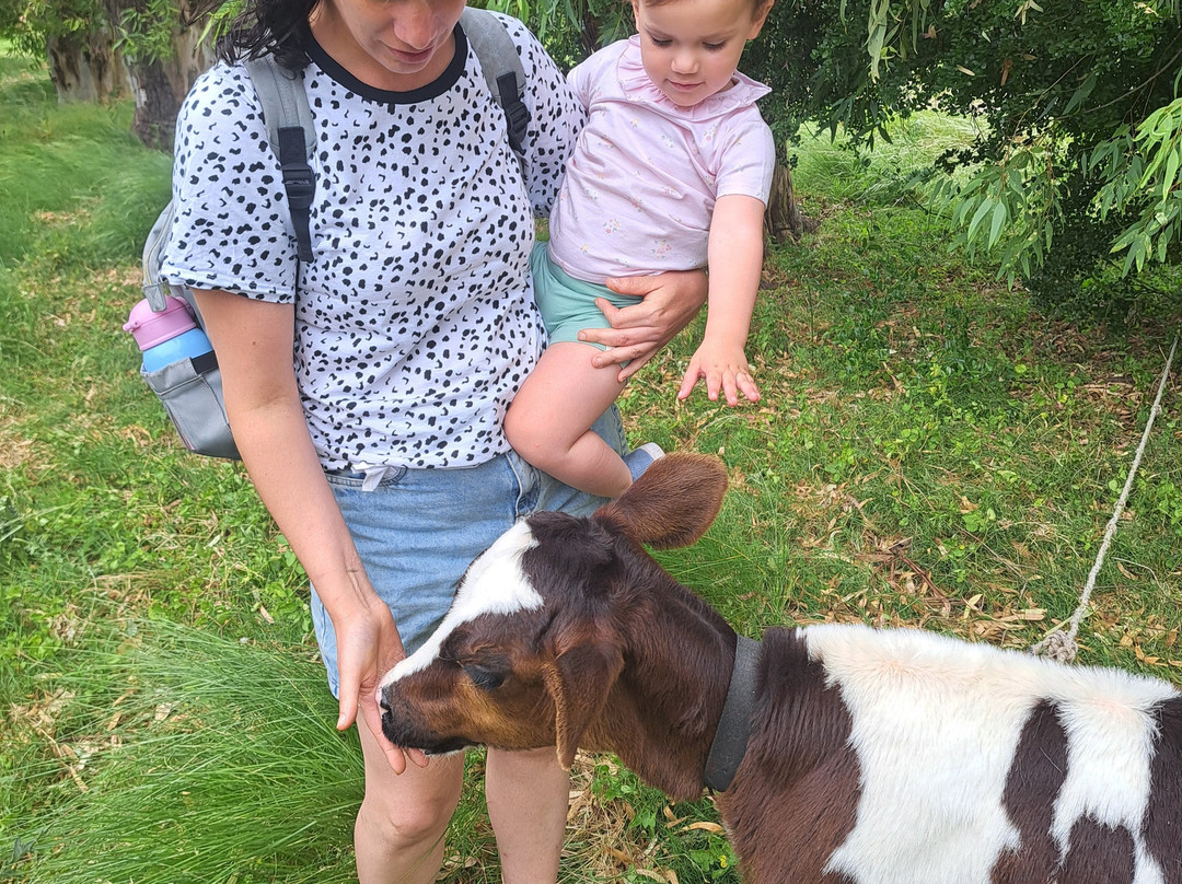 Granja Jacaranda-Carmelo必去景点