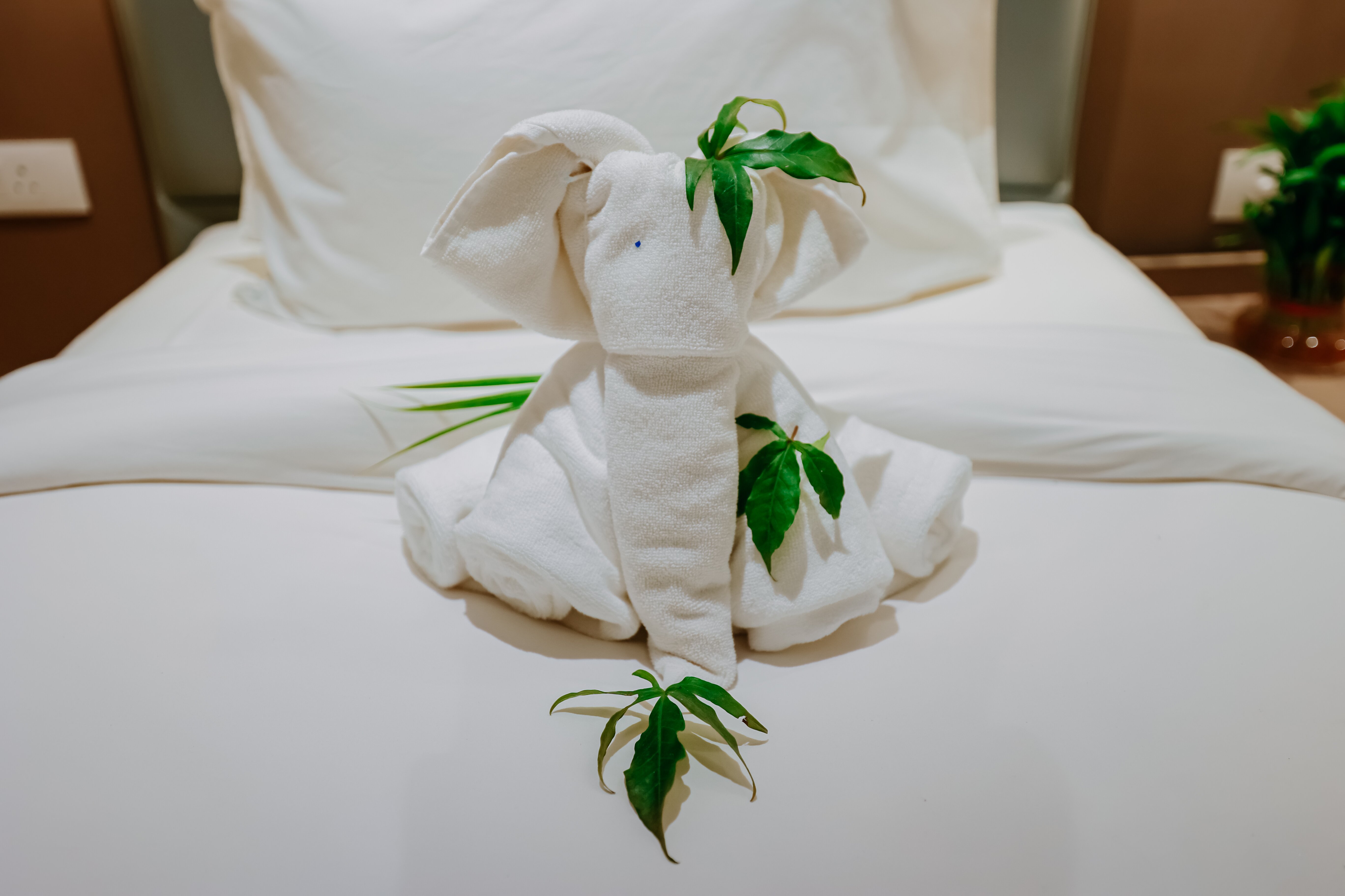 Pride Premier Alwar - Sariska-客卧