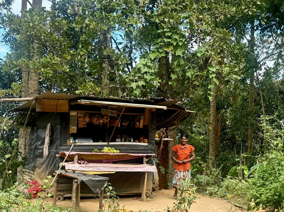 Kandy Tourist Information Center-康提必去景点
