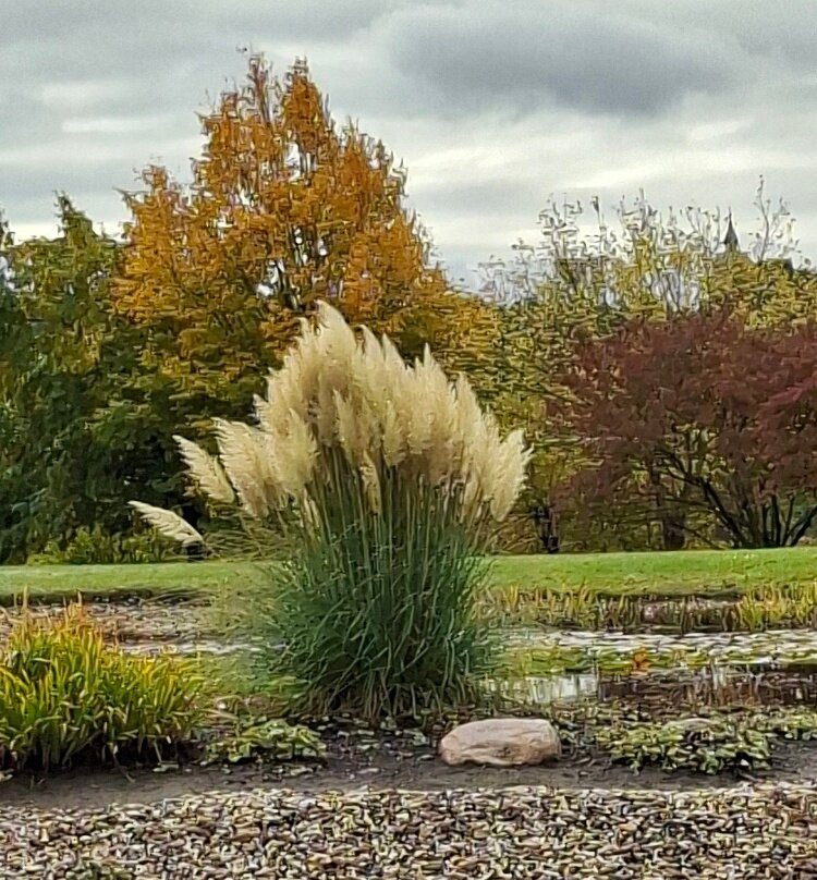 Lausitzer Findlingspark Nochten-Boxberg必去景点