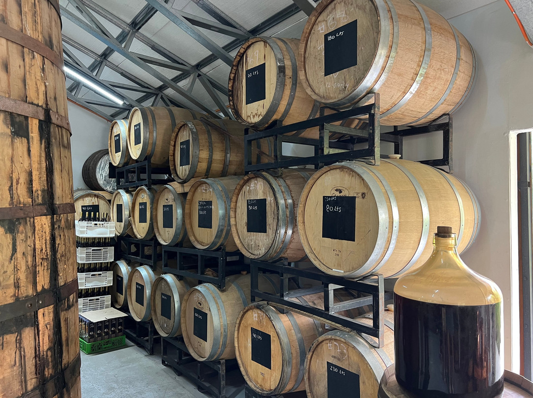 Elki Magic-Vicuna必去景点