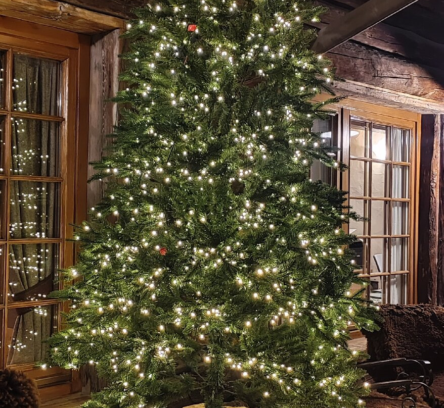 Breithorn Hotel主图