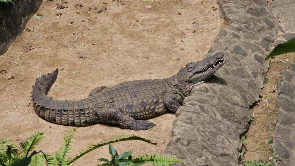 拉凡尼勒自然公园-里维耶尔德桑吉耶必去景点