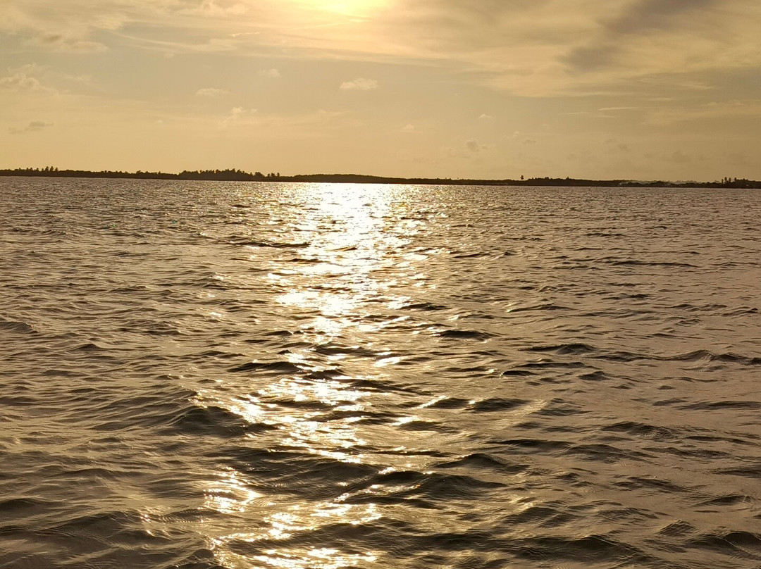 Ricardo Tuor-Piacabucu必去景点