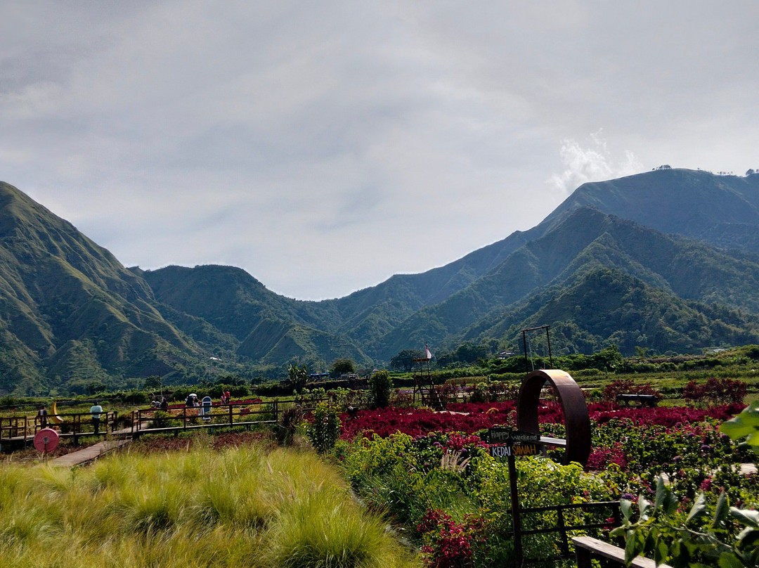 Ari Lombok Hafala-龙目岛必去景点