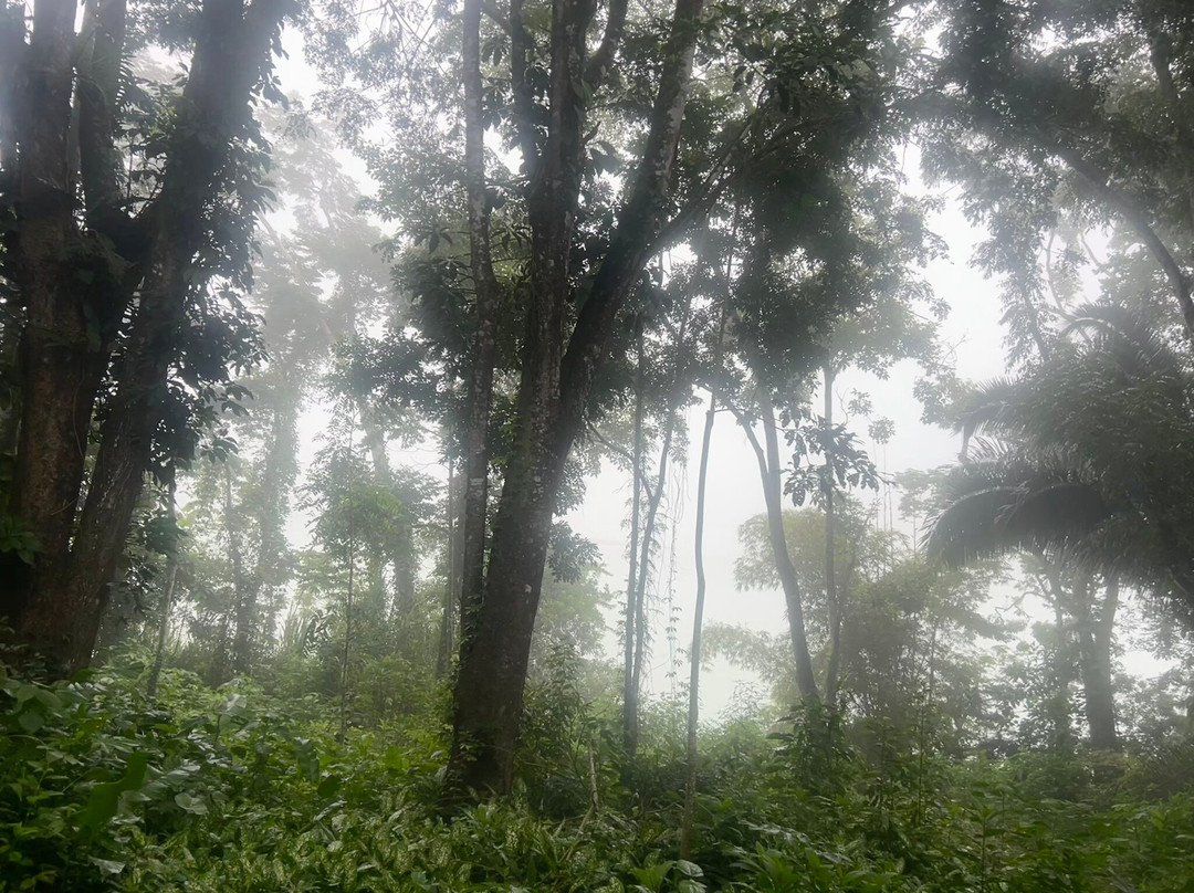 Explora Travel México (ecochiapas)| Rafting Selva Lacandona | Lacanjá Chasayab