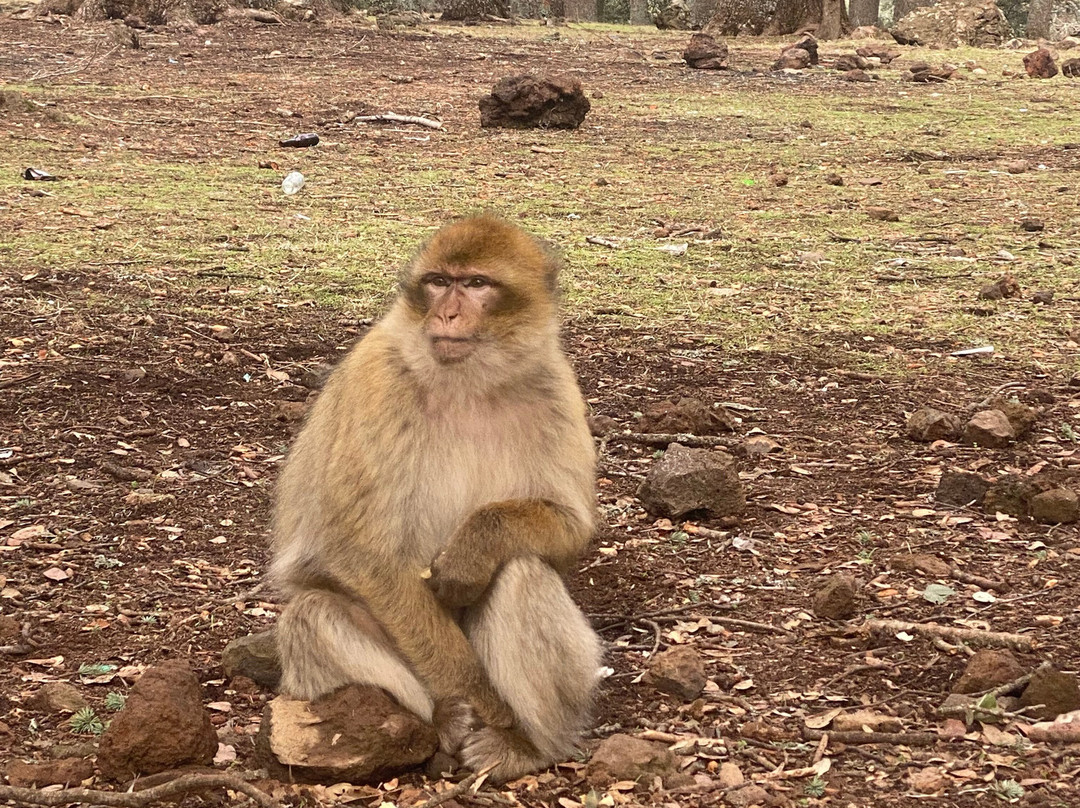 Fes Excursion Day Tours-非斯必去景点