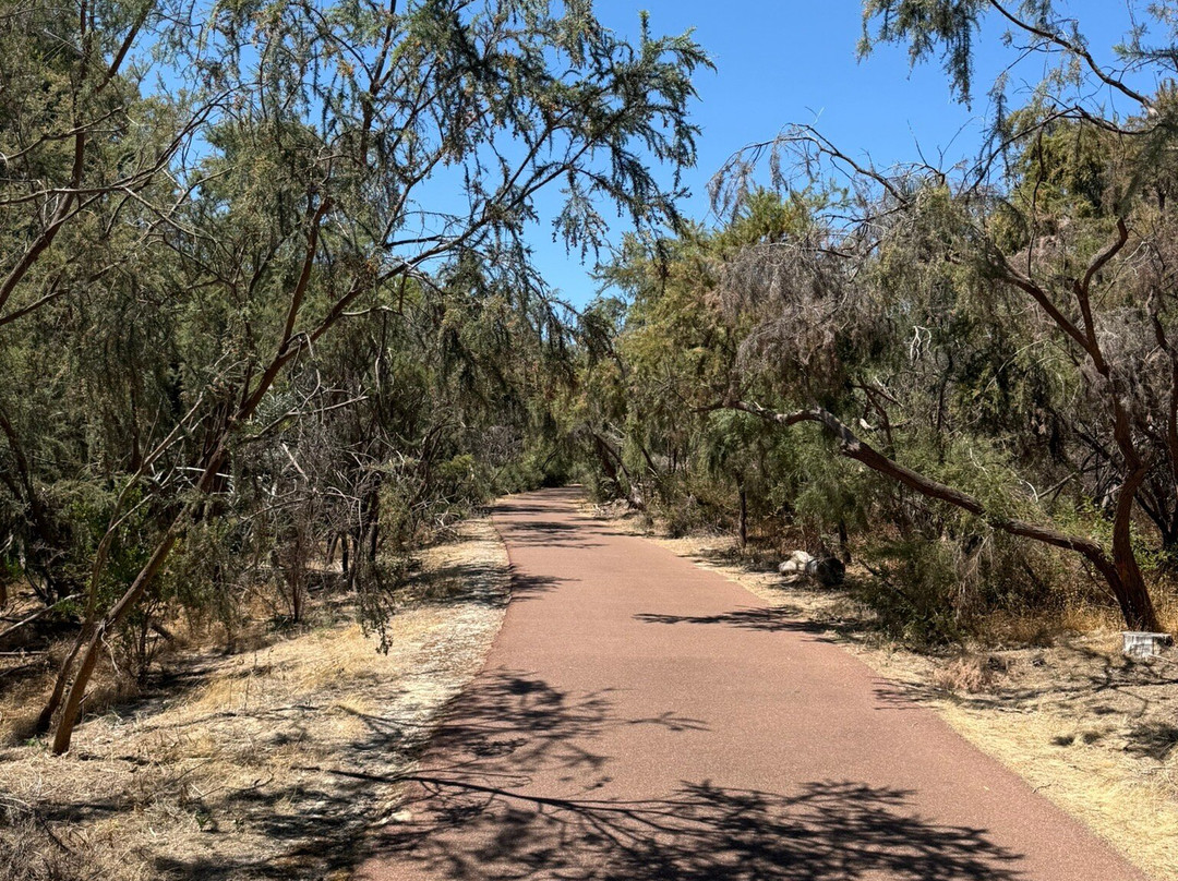 Neil Hawkins Park-Joondalup必去景点