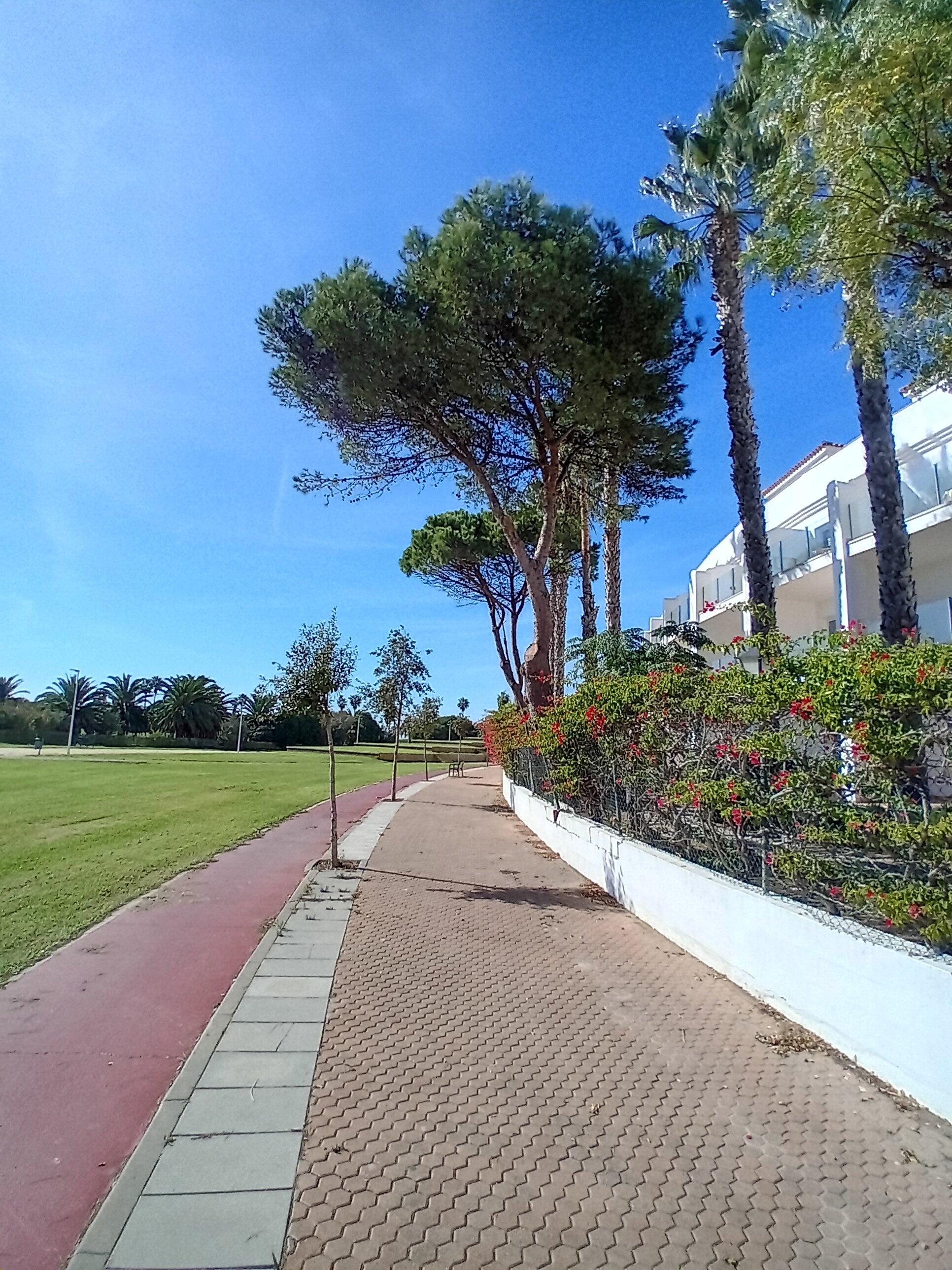 Playaballena Hotel-官方