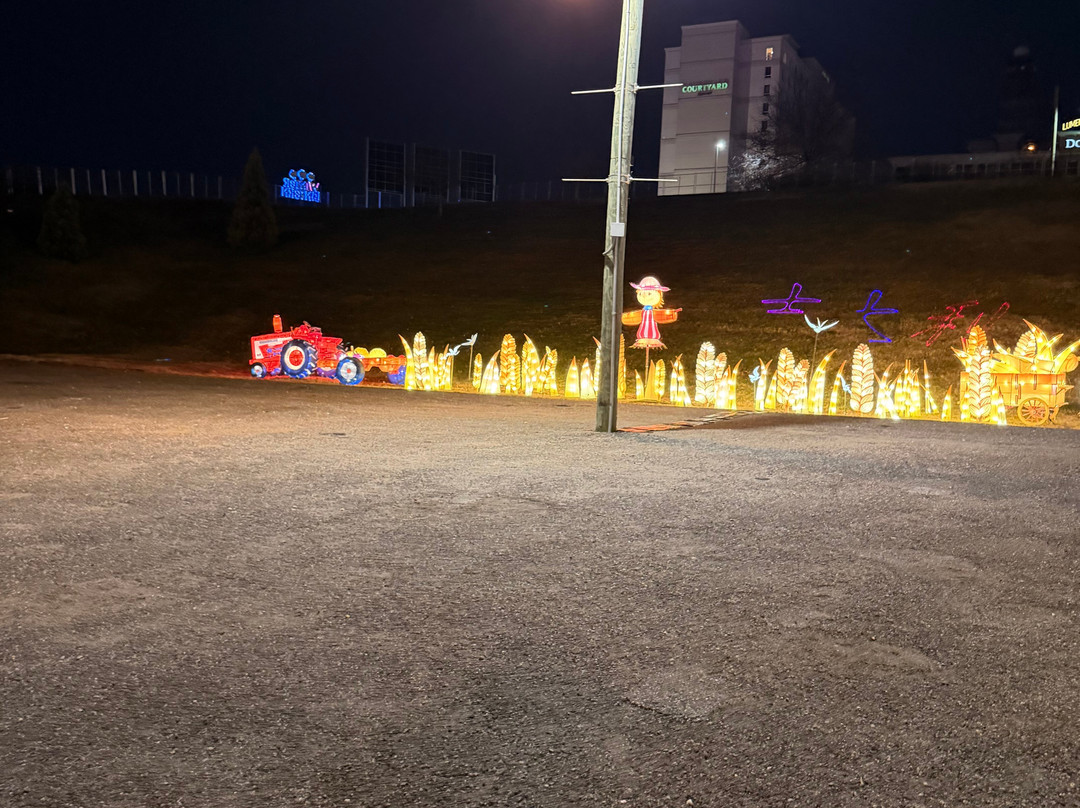 Winter Lantern Festival Washington DC-泰森角必去景点