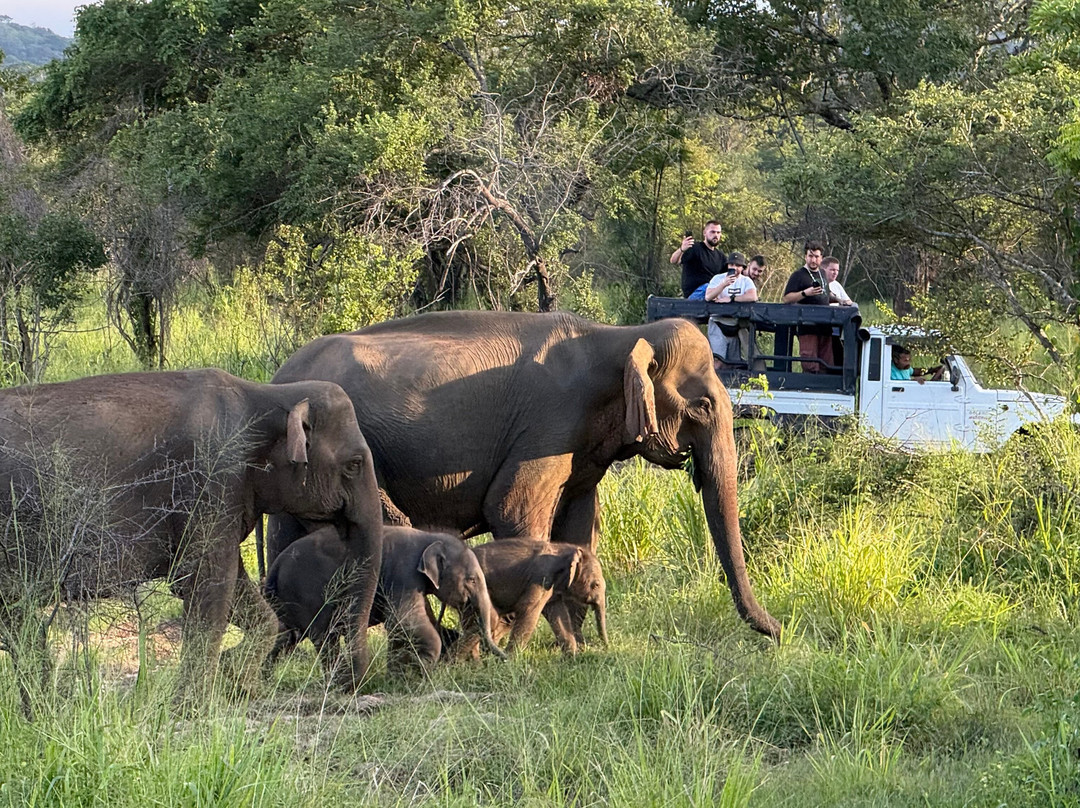 Drivers in Sri Lanka-科伦坡必去景点