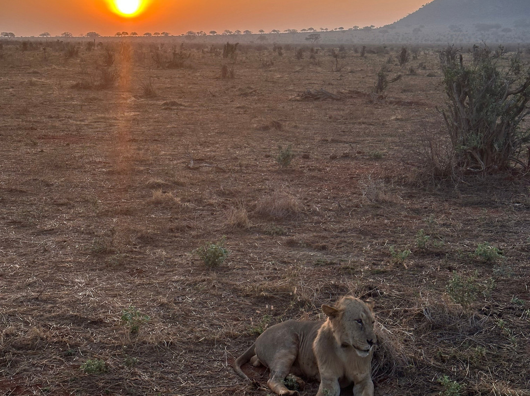Totti Kenya-安博塞利国家公园必去景点