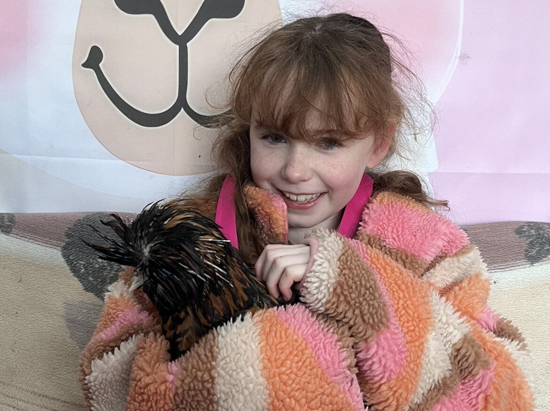 Woolly Experiences, Nercwys, Mold-Mold必去景点