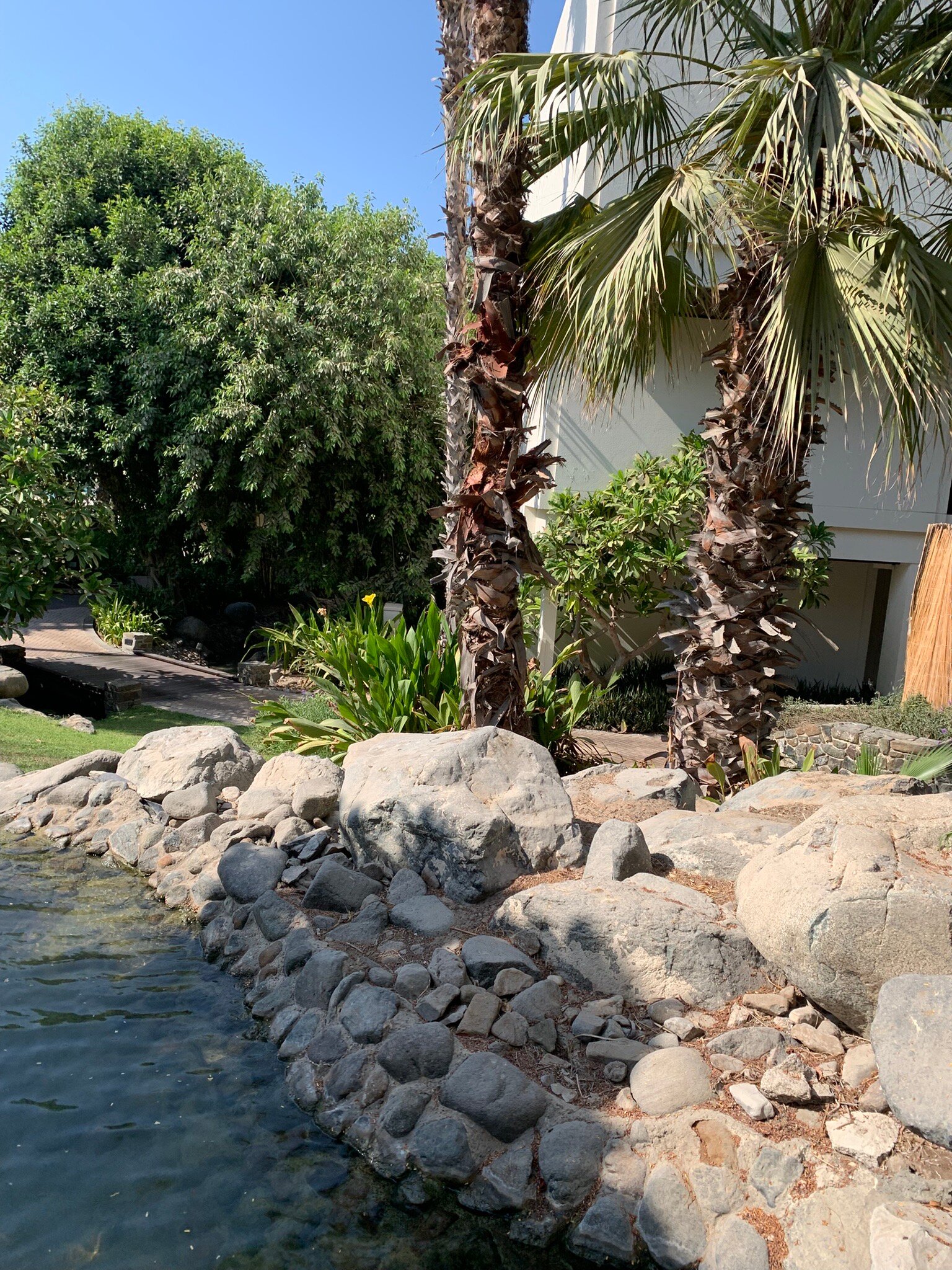 杰贝阿里酒店-官方