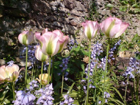 Richmond House B&B主图