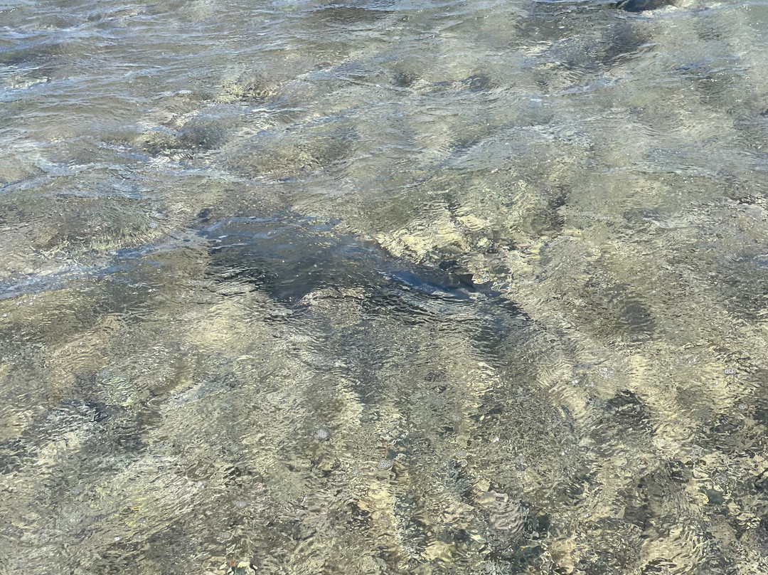 Explore Cape Verde-圣塔玛丽亚必去景点