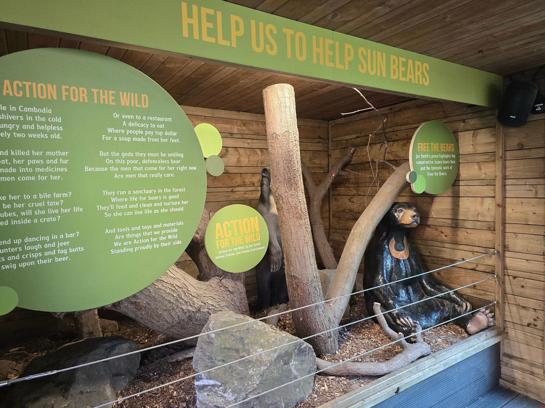 Colchester Zoo-科尔切斯特必去景点