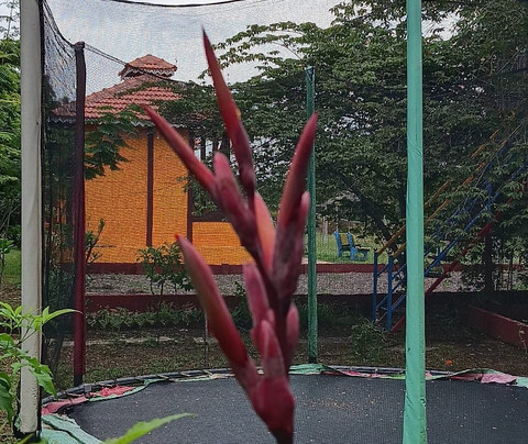 Tillus Agro Tourism-Solapur必去景点