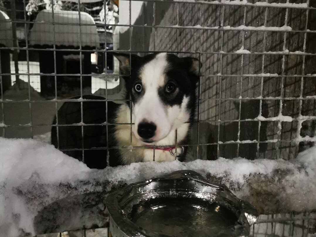 Maglelin Experience-Kittilä必去景点