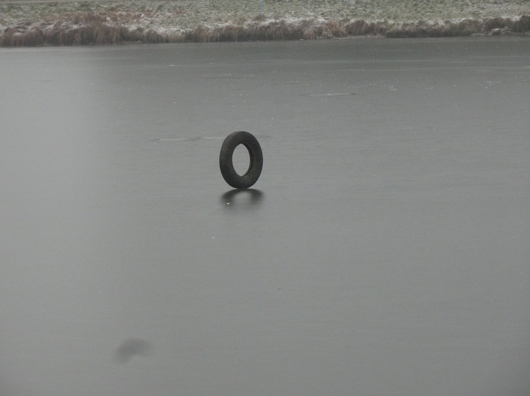 Zadebie Reservoir-Skierniewice必去景点